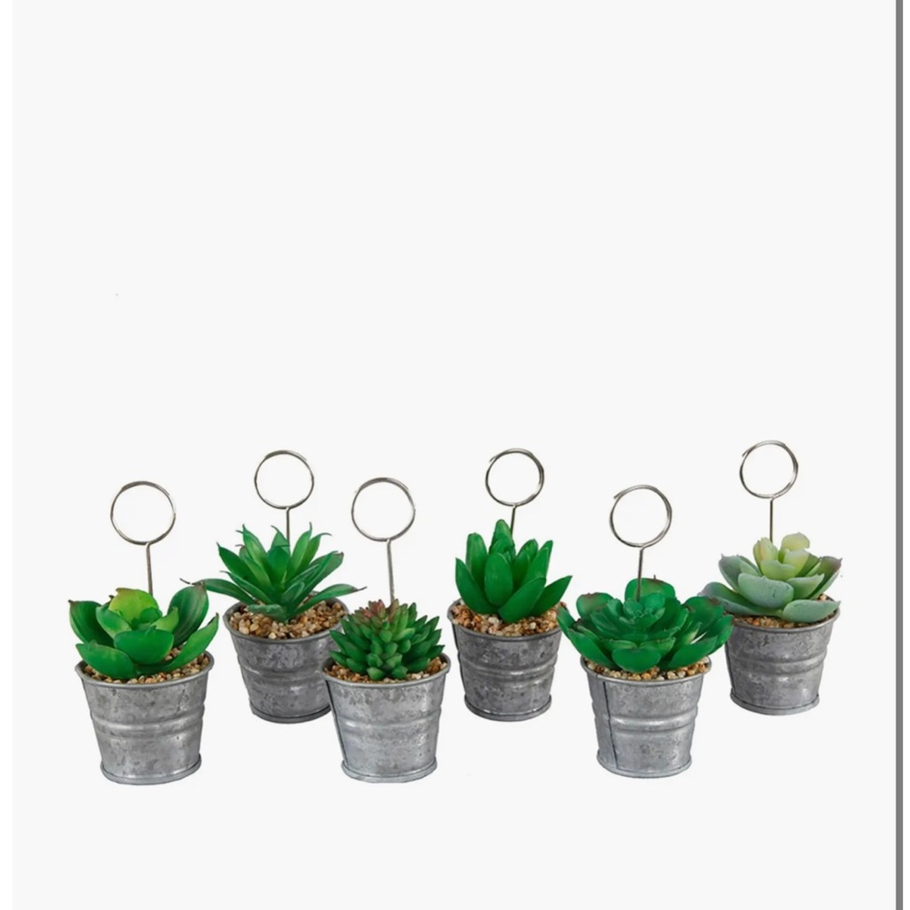 Succulent Table Signs